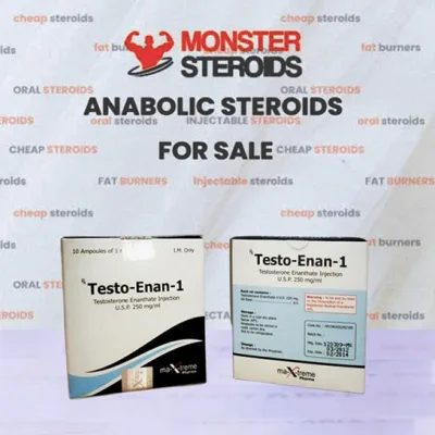 Testo-Enan-1