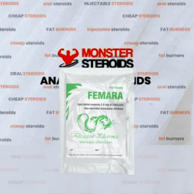 FEMARA 2.5